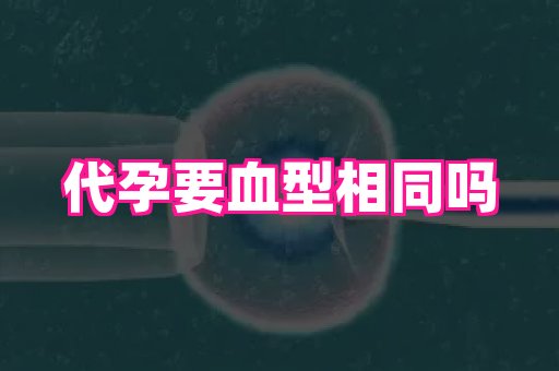 河南助孕网站 1