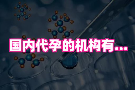 河南助孕网站 3